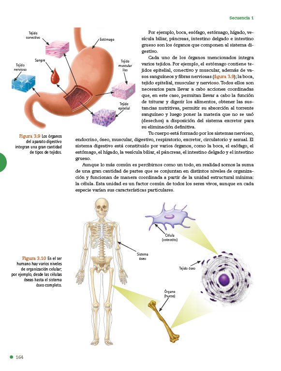 Biología Secundaria Conecta Más