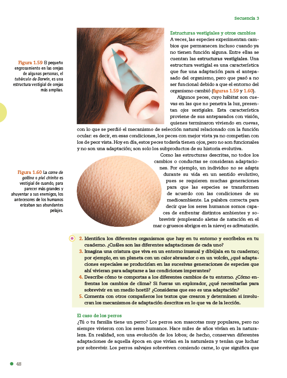 Biolog A Secundaria Conecta M S