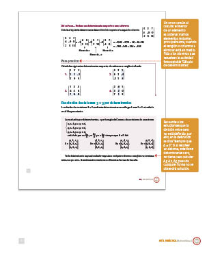 page 251