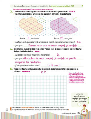 page 207