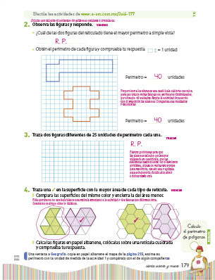 page 243
