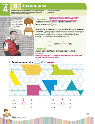 page 244