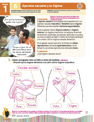 page 282