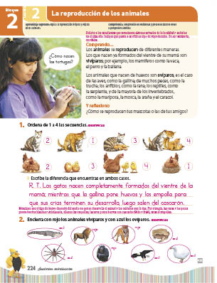 page 288
