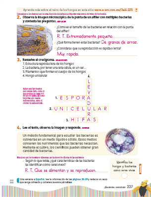 page 291