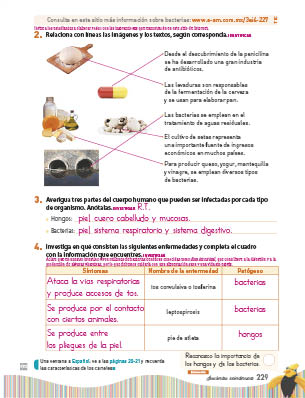 page 293