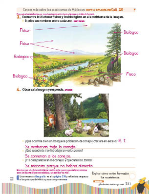 page 295