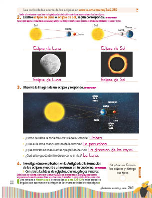 page 325