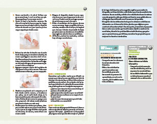 page 199