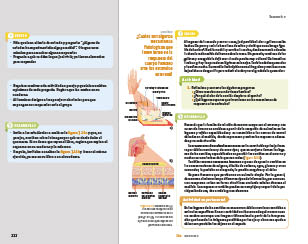 page 222
