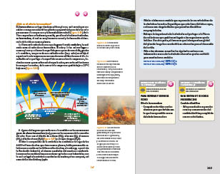 page 243