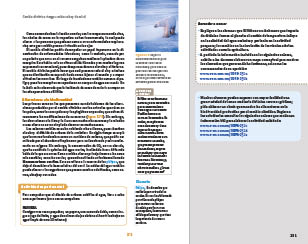 page 251