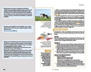 page 256