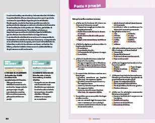 page 262