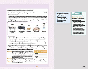 page 263