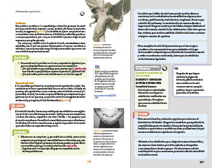 page 277