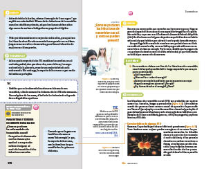 page 278