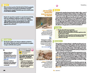 page 298
