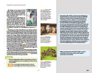 page 299