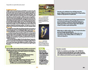 page 301