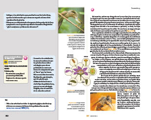 page 302