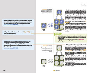 page 310