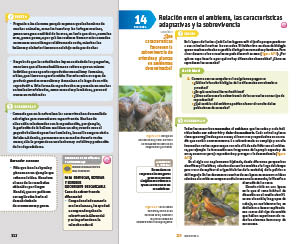 page 312