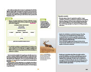 page 313