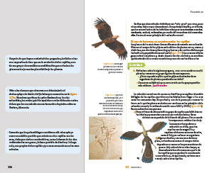 page 314