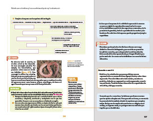 page 317