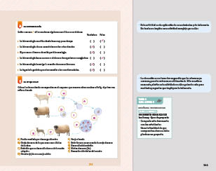 page 341