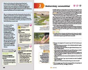 page 346