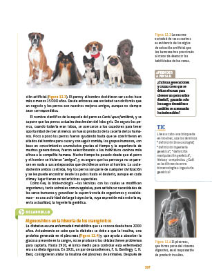 page 197