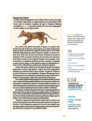 page 203