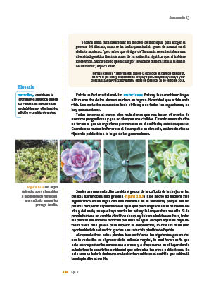 page 204