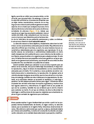 page 207