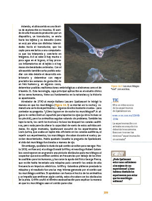 page 209