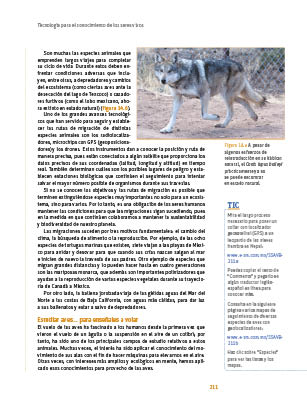 page 211