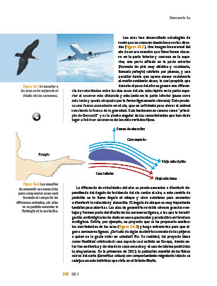 page 212