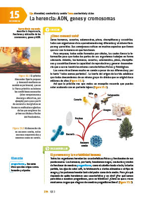 page 214
