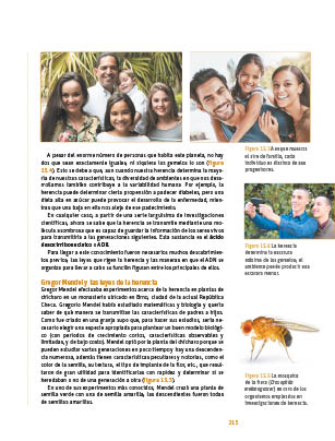 page 215