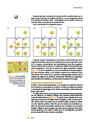 page 216