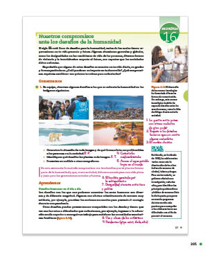 page 201