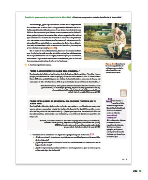 page 203
