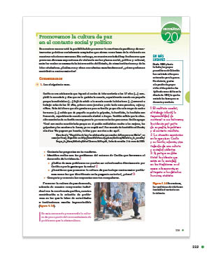 page 223