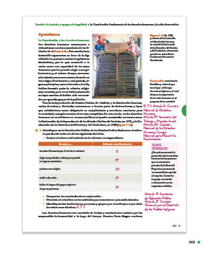 page 263