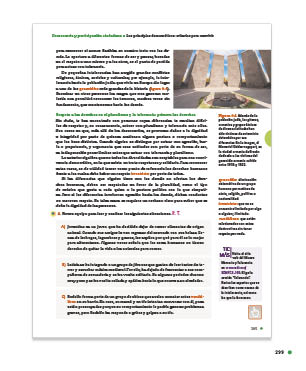 page 299