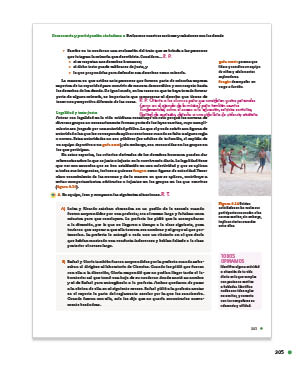 page 305