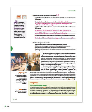 page 306