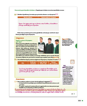 page 313